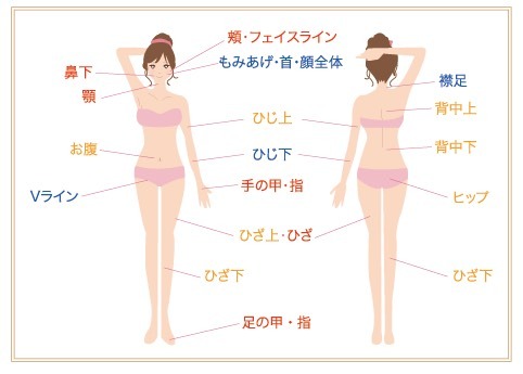 施術部位